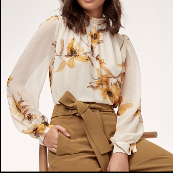 Aritzia Tops - ARITZIA Wilfred Paula Blouse
